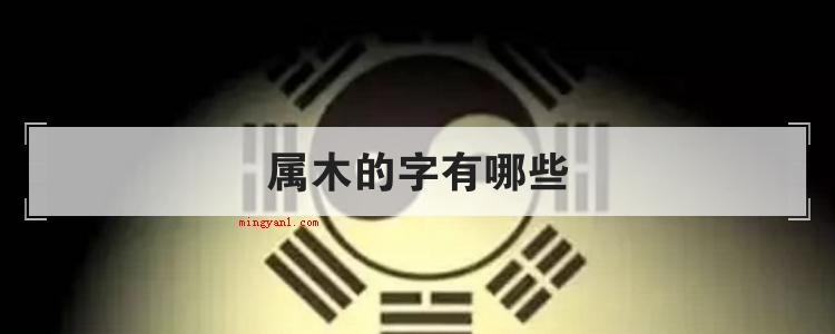 属木的字有哪些