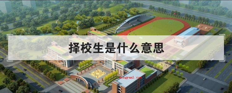 择校生是什么意思