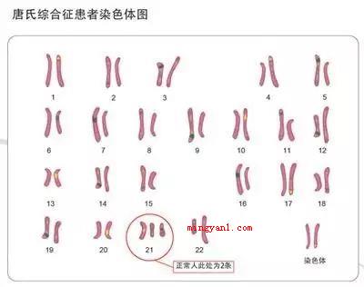 213什么意思