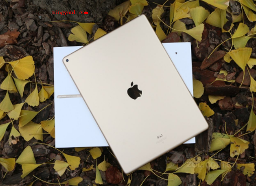 ipad是什么意思