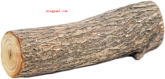log是什么意思