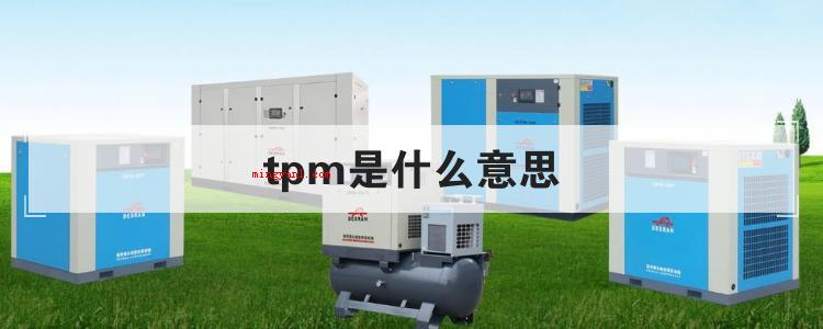 tpm是什么意思