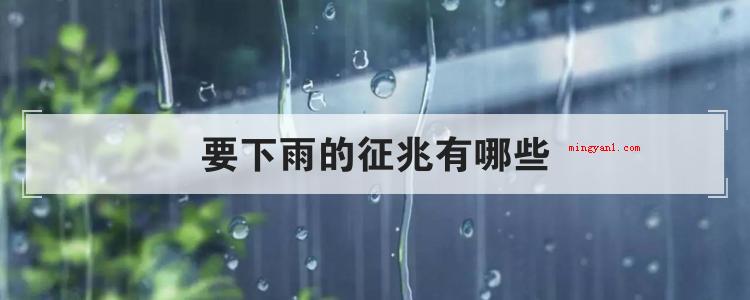 要下雨的征兆有哪些
