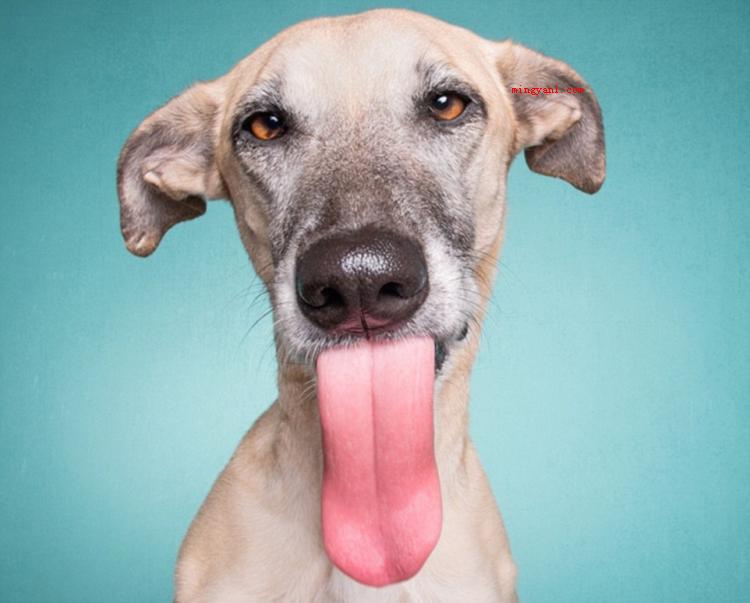 要下雨的征兆有哪些