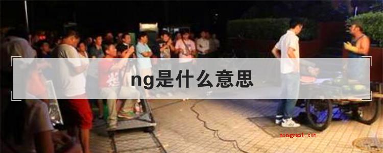 ng是什么意思