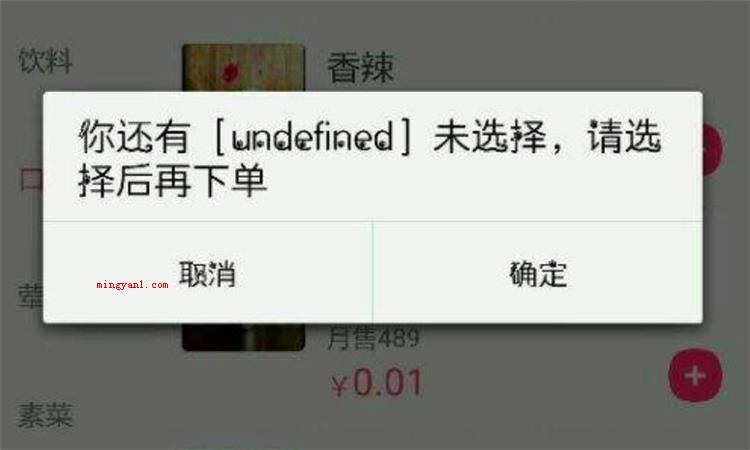 undefined是什么意思
