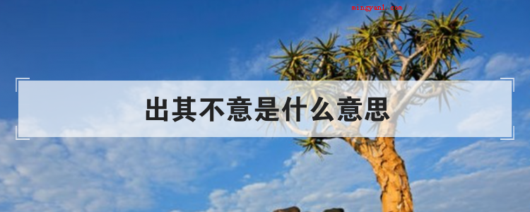 出其不意是什么意思