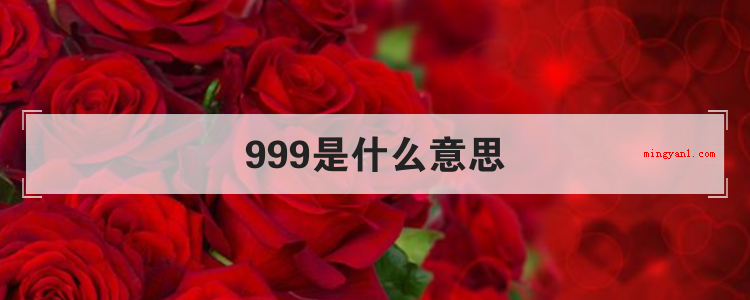 999是什么意思