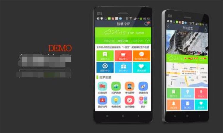 demo是什么意思