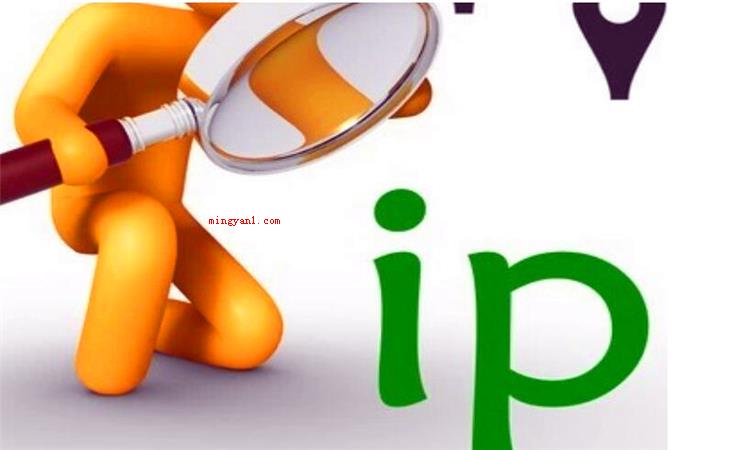 ip是什么意思
