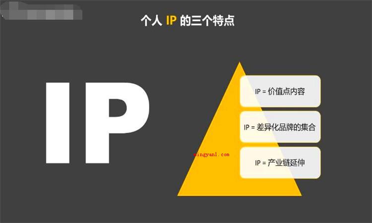 ip是什么意思