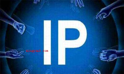 ip是什么意思