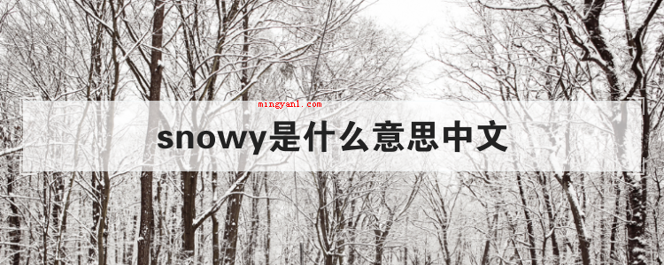 snowy是什么意思中文