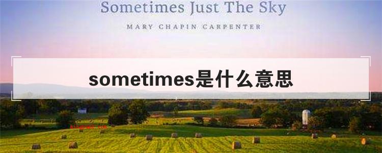 sometimes是什么意思