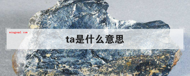 ta是什么意思
