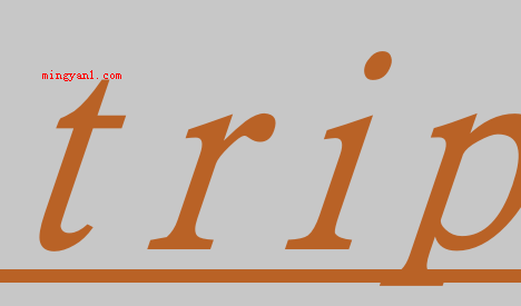 trip什么意思