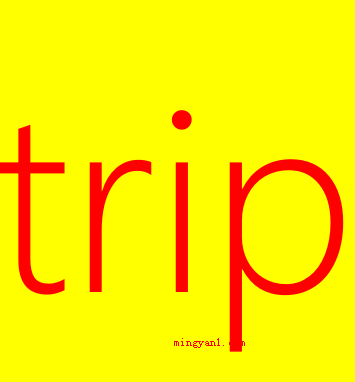 trip什么意思