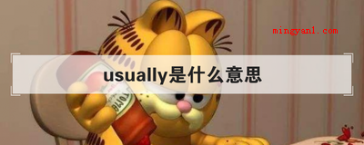 usually是什么意思