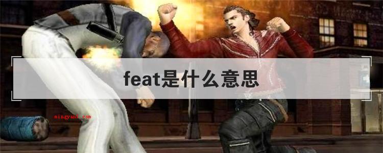 feat是什么意思