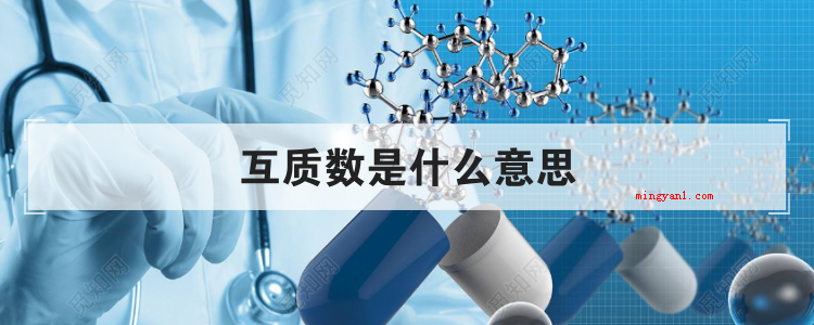互质数是什么意思