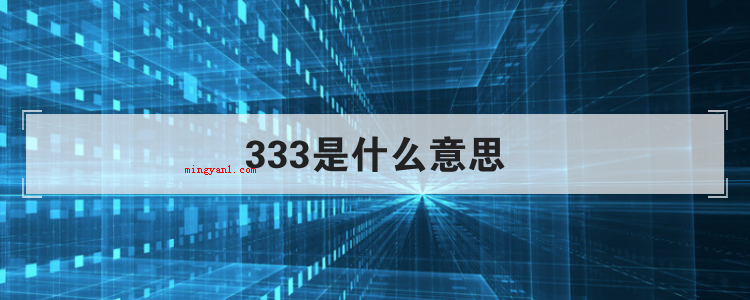333是什么意思