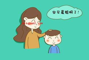 褒义词是什么意思