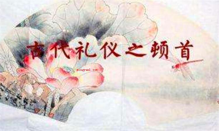 顿首是什么意思