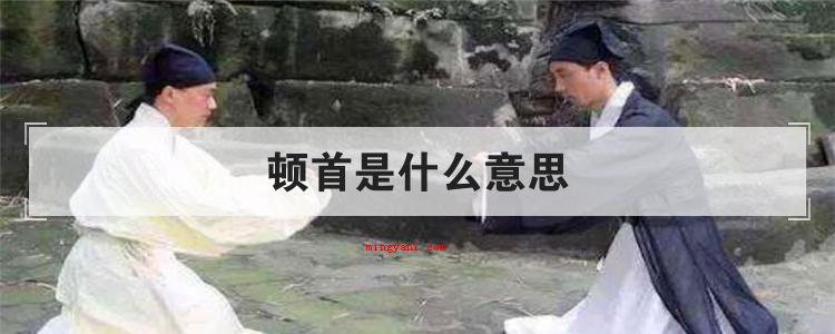 顿首是什么意思