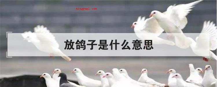 放鸽子是什么意思