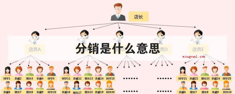 分销是什么意思