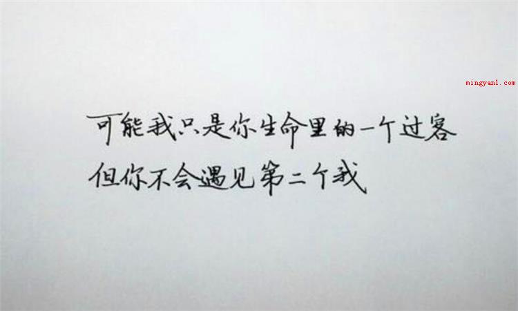 过客是什么意思