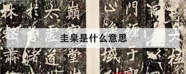 圭臬是什么意思