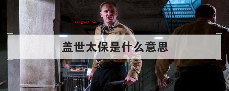 盖世太保是什么意思
