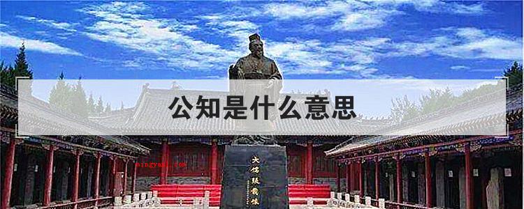 公知是什么意思