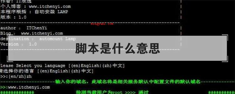 脚本是什么意思