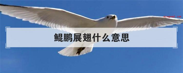 鲲鹏展翅什么意思