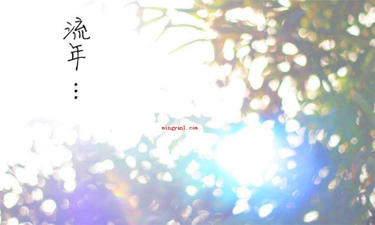 流年是什么意思