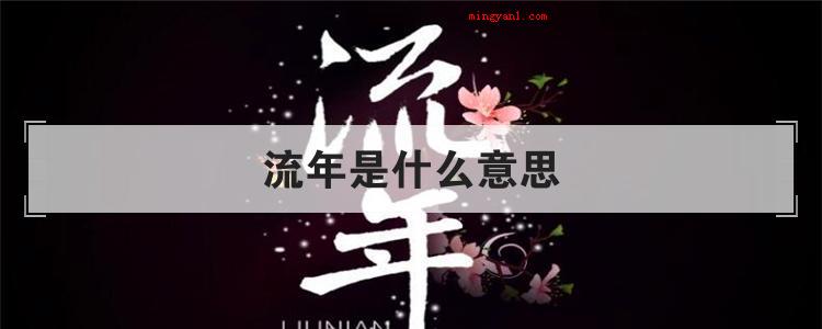 流年是什么意思