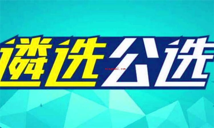 遴选是什么意思