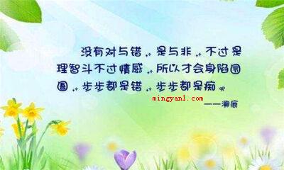 理智是什么意思