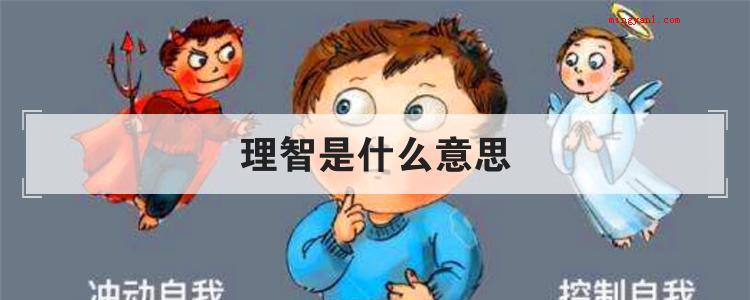 理智是什么意思