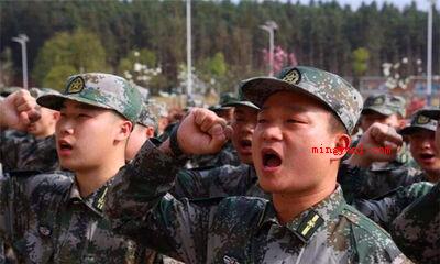 民兵是什么意思