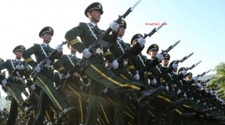 前卫是什么意思