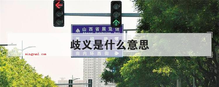 歧义是什么意思