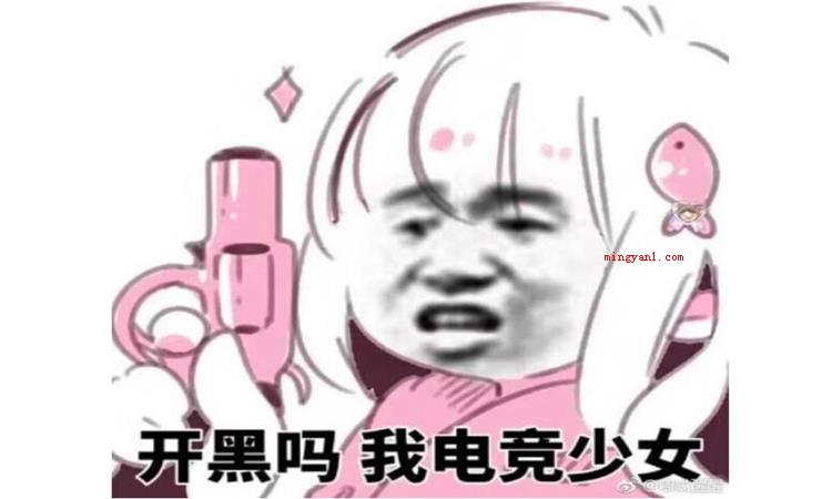 沙雕什么意思