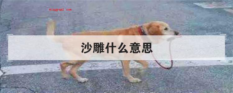 沙雕什么意思