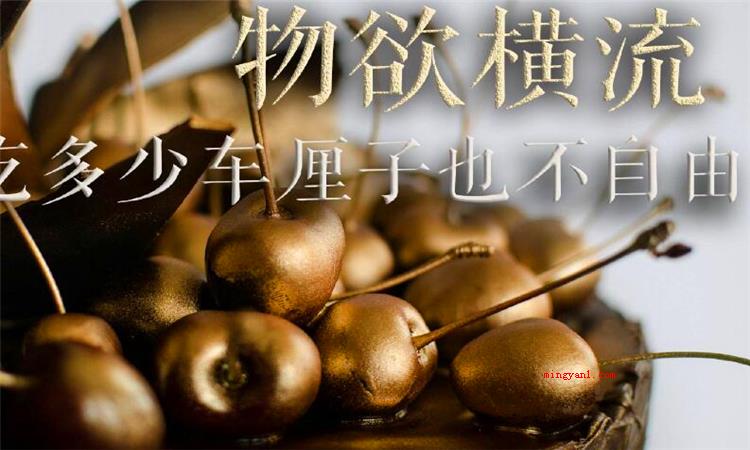 物欲横流什么意思