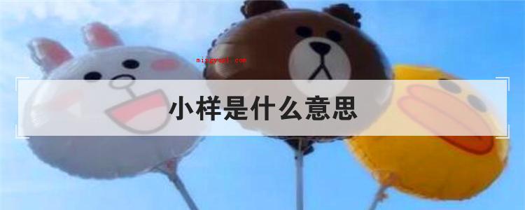 小样是什么意思