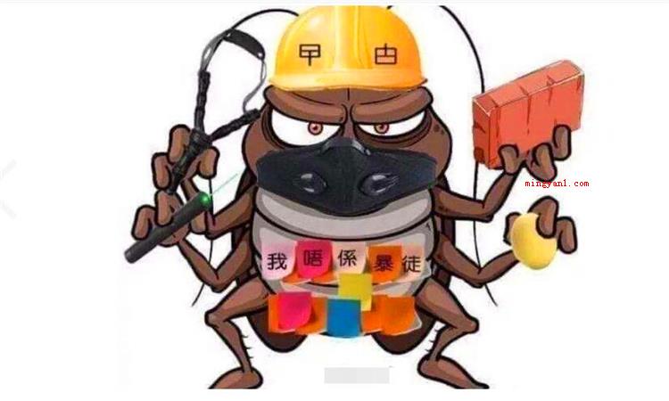 曱甴是什么意思