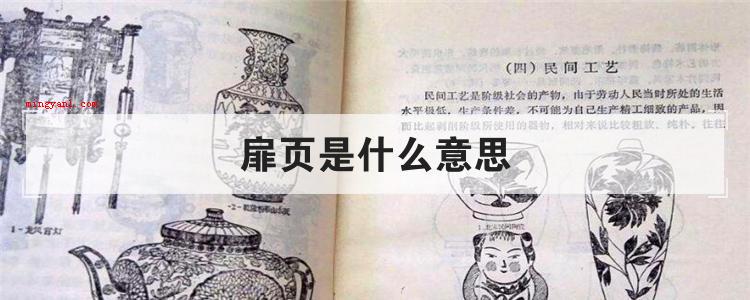 扉页是什么意思